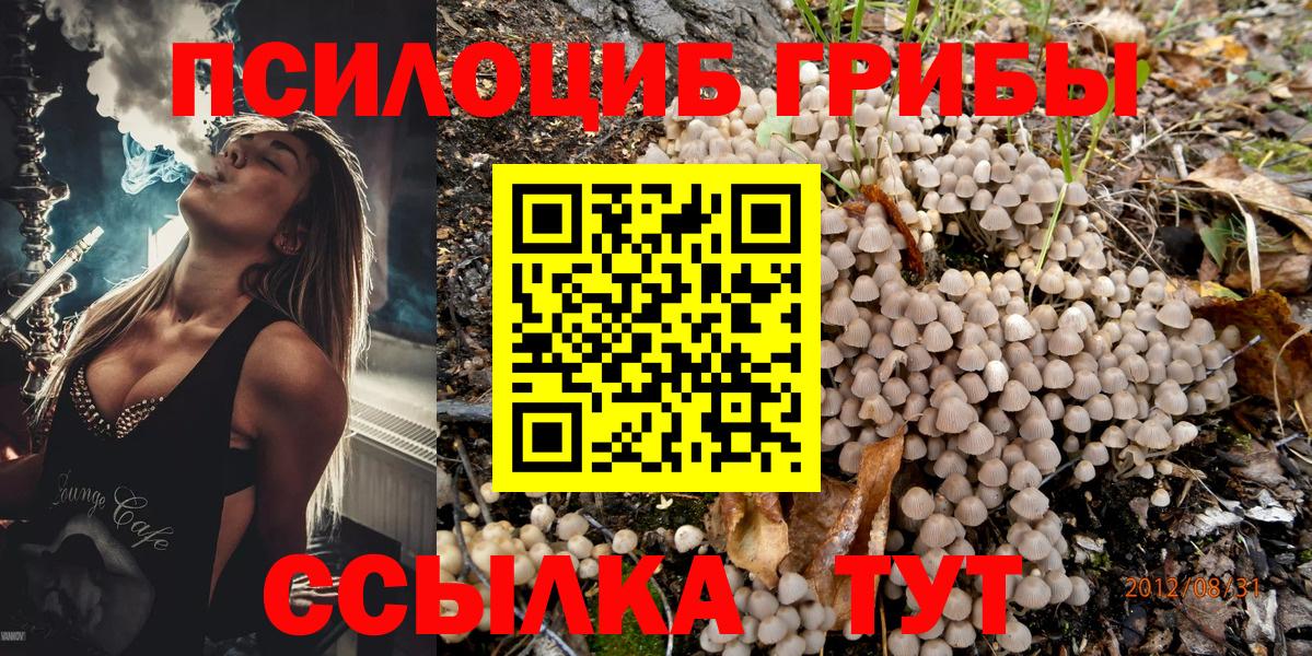 Галлюциногенные грибы MAGIC MUSHROOMS  Вход с VPN  Мирный 