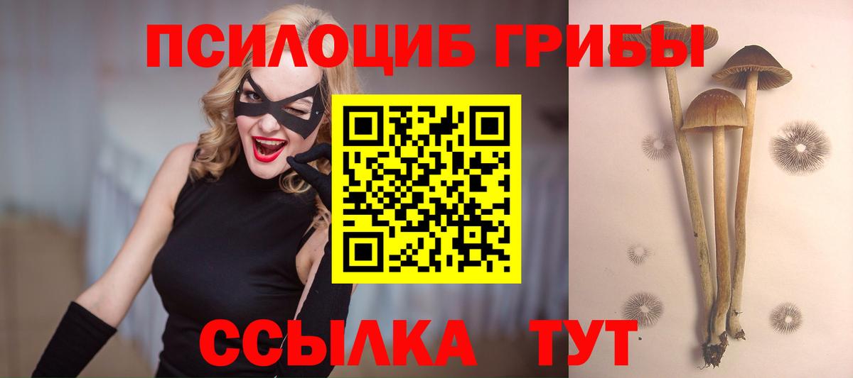 Псилоцибиновые грибы мухоморы Мирный